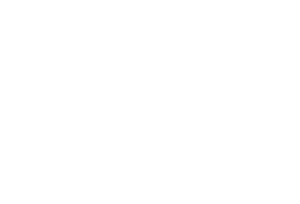 Wholesale